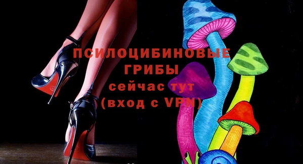 соль ск Осинники